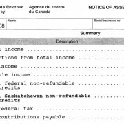example of notice of assessment NOA